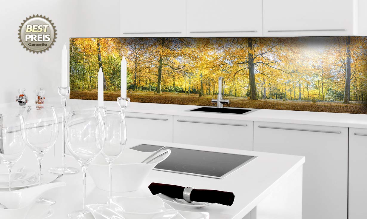 Fine Art Küchenspiegel - Nischensystem auf Alu-Dibond Raumbild Fine Art Küchenspiegel - Nischensystem auf Alu-Dibond Raumbild